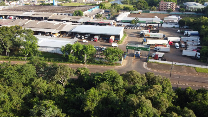 Quinze lotes leiloados na Ceasa de Foz do Iguaçu são arrematados por R$ 625 mil