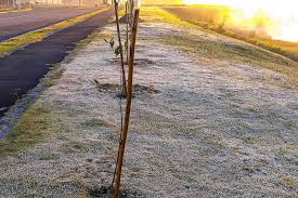 Nova frente fria trará chuva e queda das temperaturas ao Paraná, prevê Simepar