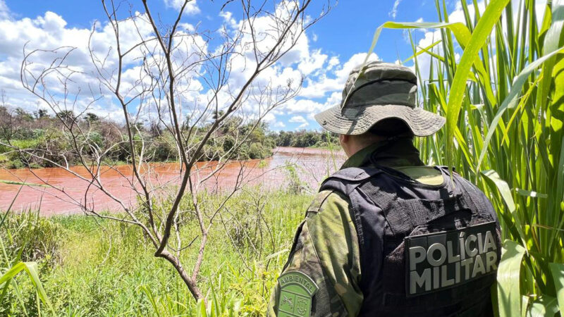 PMPR resgata 216 animais e interrompe desmatamento ilegal de 159 hectares em junho