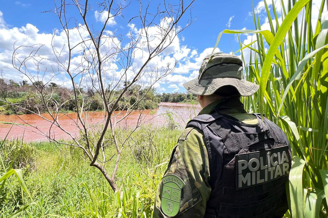 PMPR resgata 216 animais e interrompe desmatamento ilegal de 159 hectares em junho