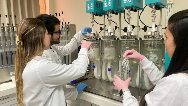 Unioeste desenvolve projeto para transformar resíduos de tilápia em colágeno