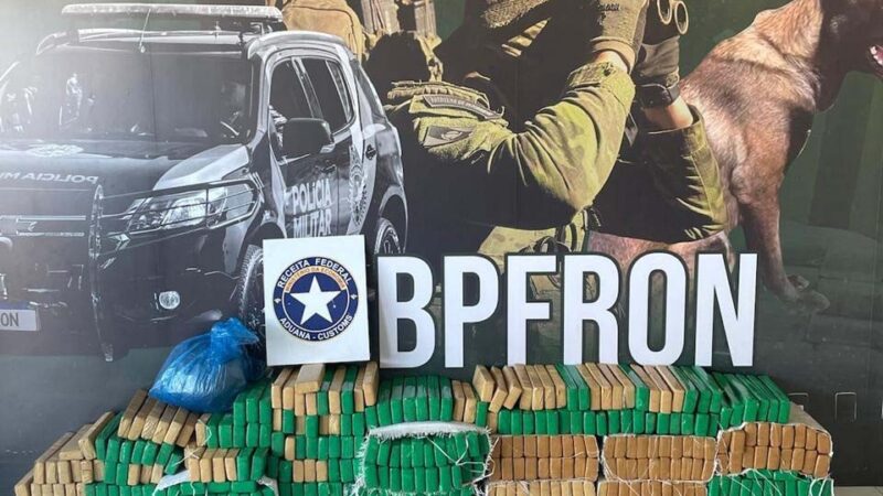 PMPR apreende 950 quilos de maconha no fim de semana, com prejuízo milionário ao tráfico