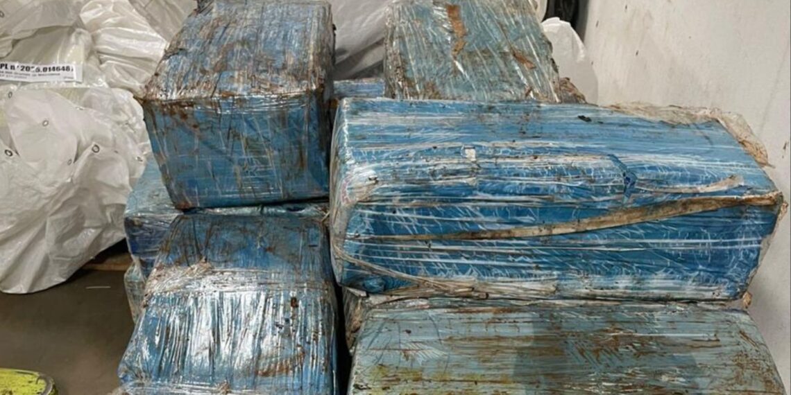 Em ação na fronteira, PF e PM apreendem mais de 300 kg de maconha