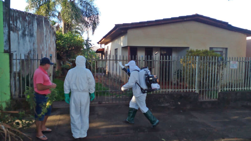 Dengue avança no Paraná em 2025 e acende sinal de alerta em Foz do Iguaçu