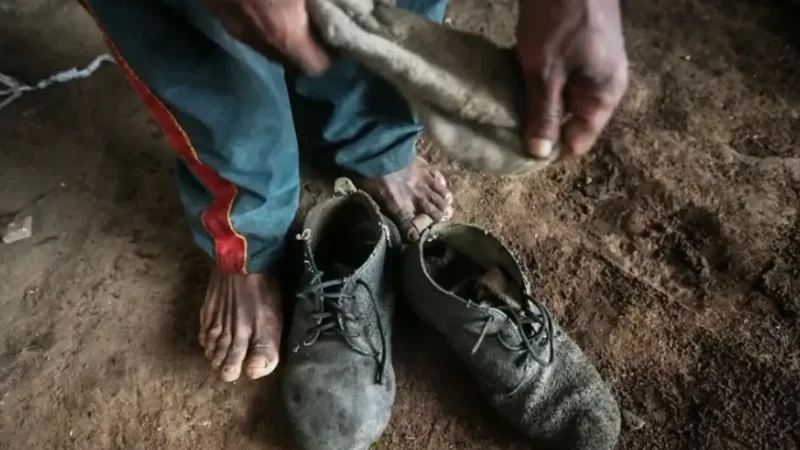 Brasil resgata 2.772 pessoas de trabalho análogo à escravidão em 2025, aponta Ministério do Trabalho