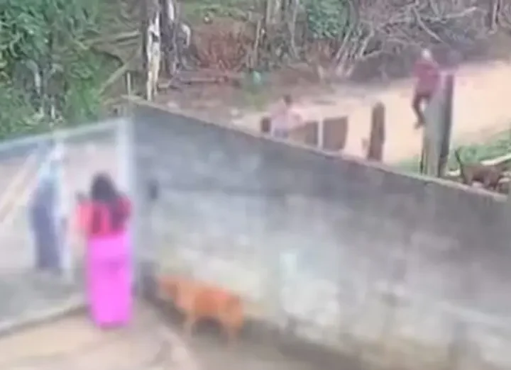 Polícia Civil apura se bebê de 11 meses estava morto antes de ser atacado por pitbull