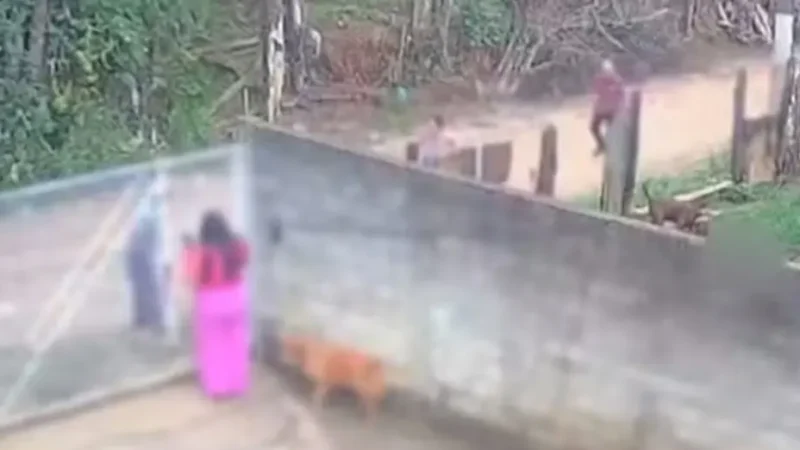 Polícia Civil apura se bebê de 11 meses estava morto antes de ser atacado por pitbull