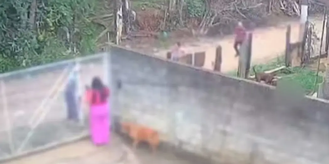 Polícia Civil apura se bebê de 11 meses estava morto antes de ser atacado por pitbull