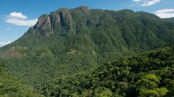 Homem desaparecido é encontrado nu na mata após dois dias de buscas no Paraná